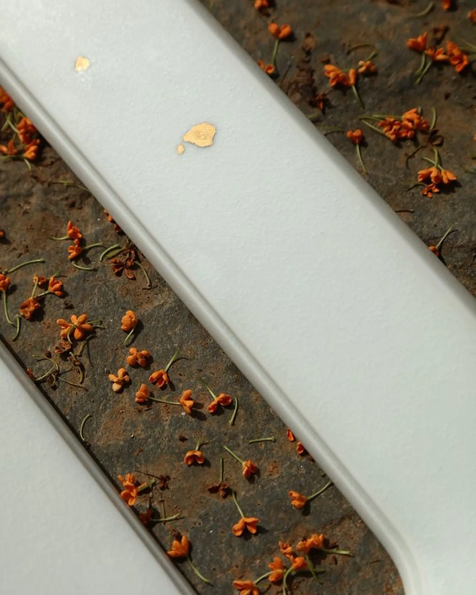Close view of a white Void Ceramic Sconce on a ground scattered with dried flowers